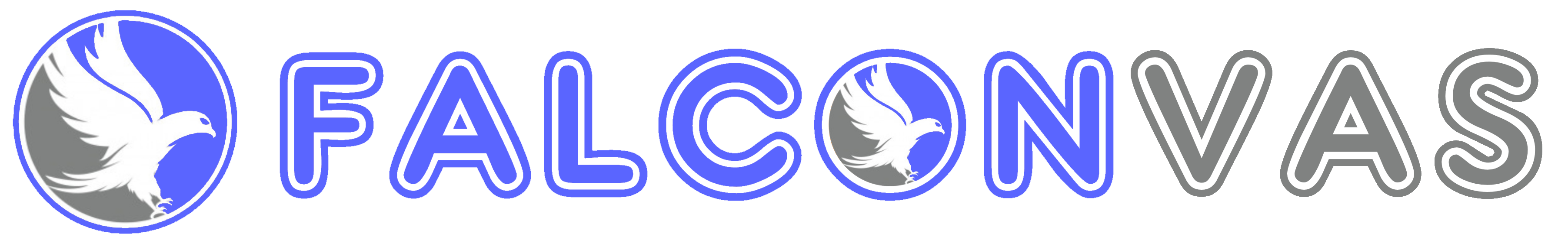 falconVAS logo